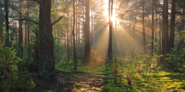 Zagadki natury. Niewyjaśnione zjawiska na Ziemi