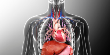 Zagadki natury. Niewyjaśnione zjawiska na Ziemi