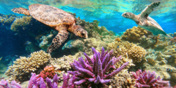 Sztuka współczesna. Dzieła, które zmieniły wszystko