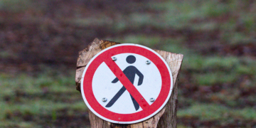 Sztuka współczesna. Dzieła, które zmieniły wszystko